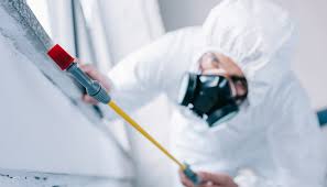 Best Fumigation Services  in Kent Acres, DE